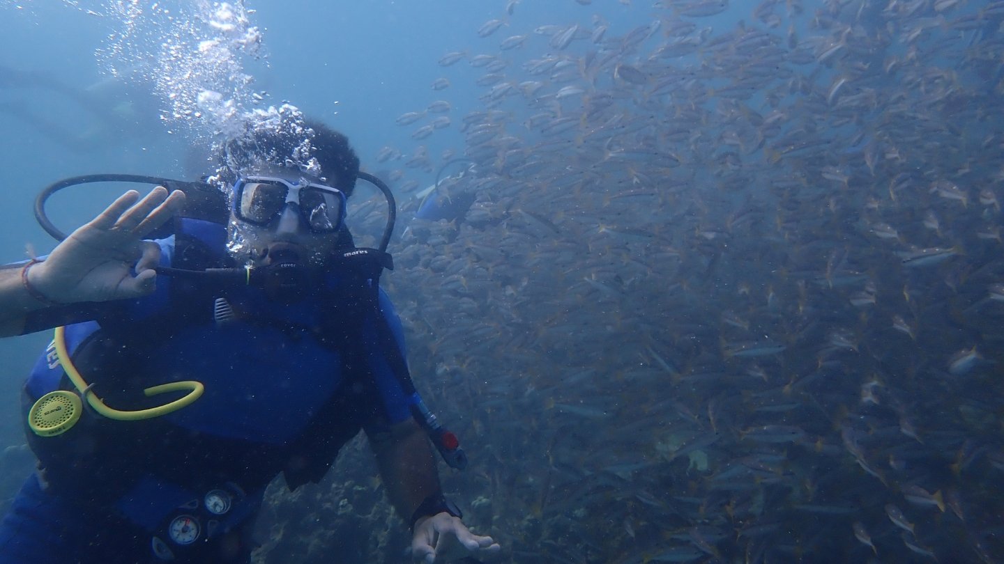 andaman_hp_tourismhotels (5)