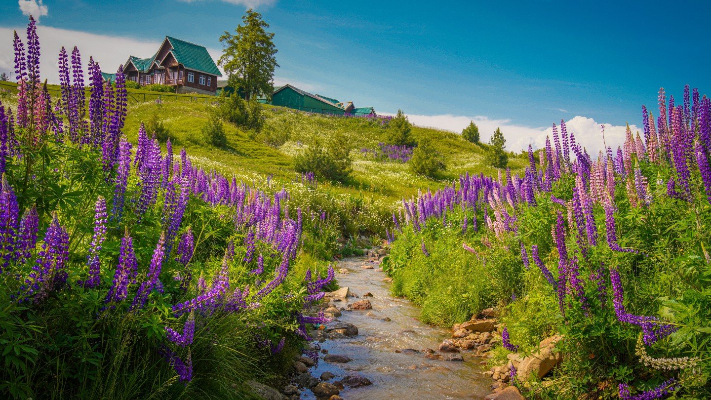 kashmir_hp_tourism (4)