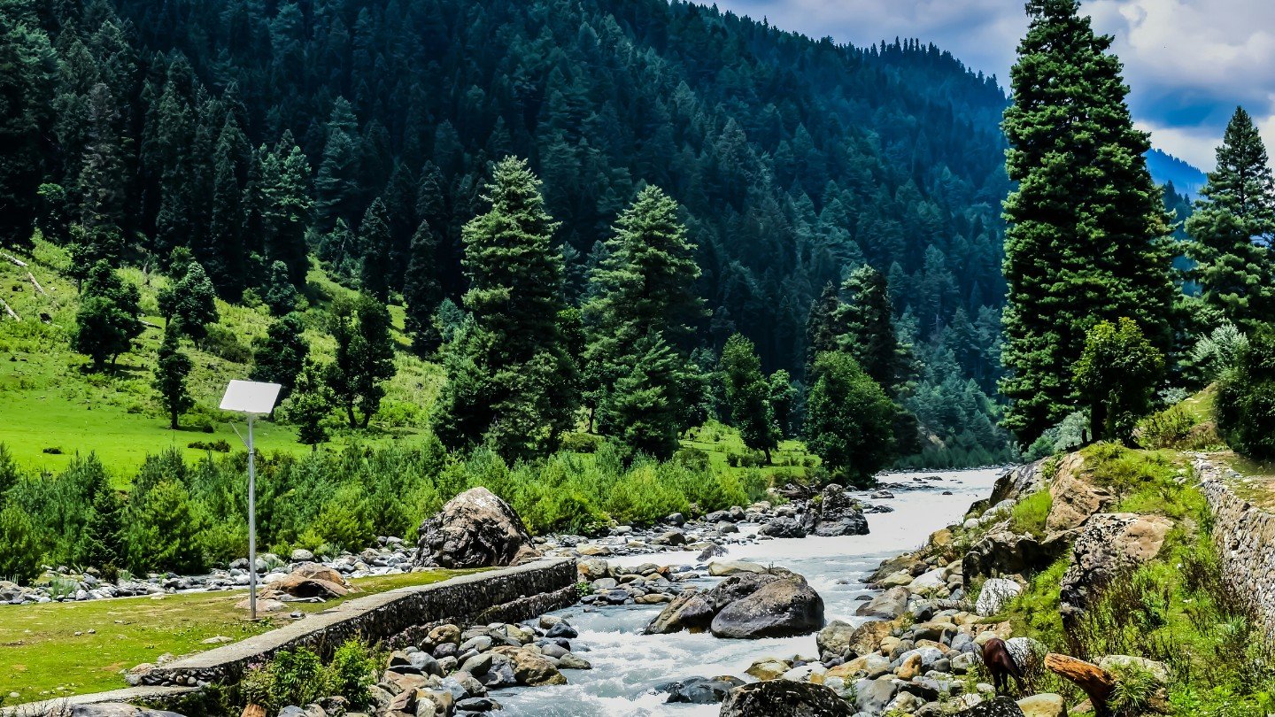 kashmir_hp_tourism (7)